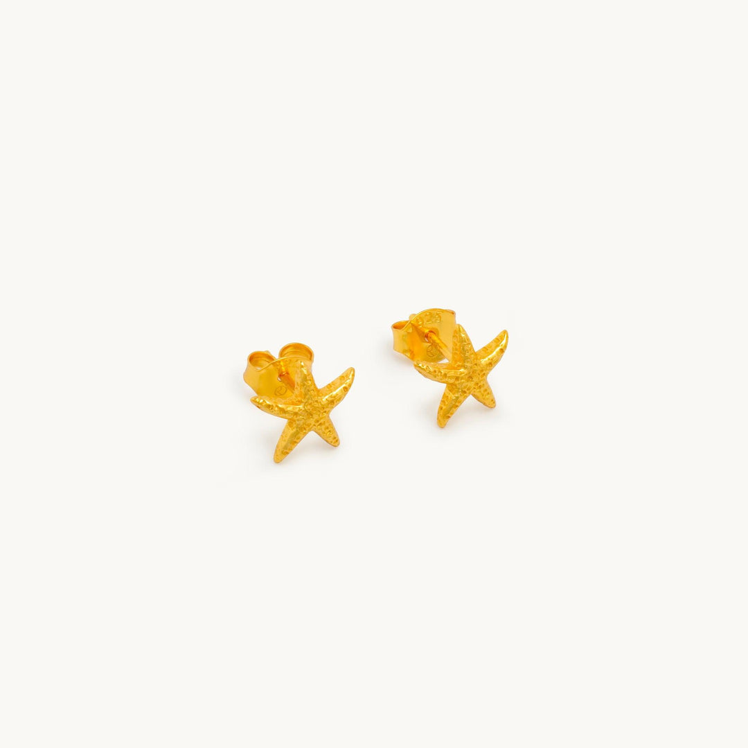 Ocean Star Ohrringe