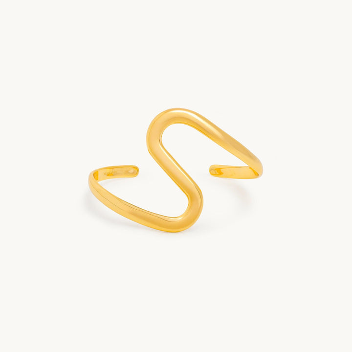 Shape of Water Armband