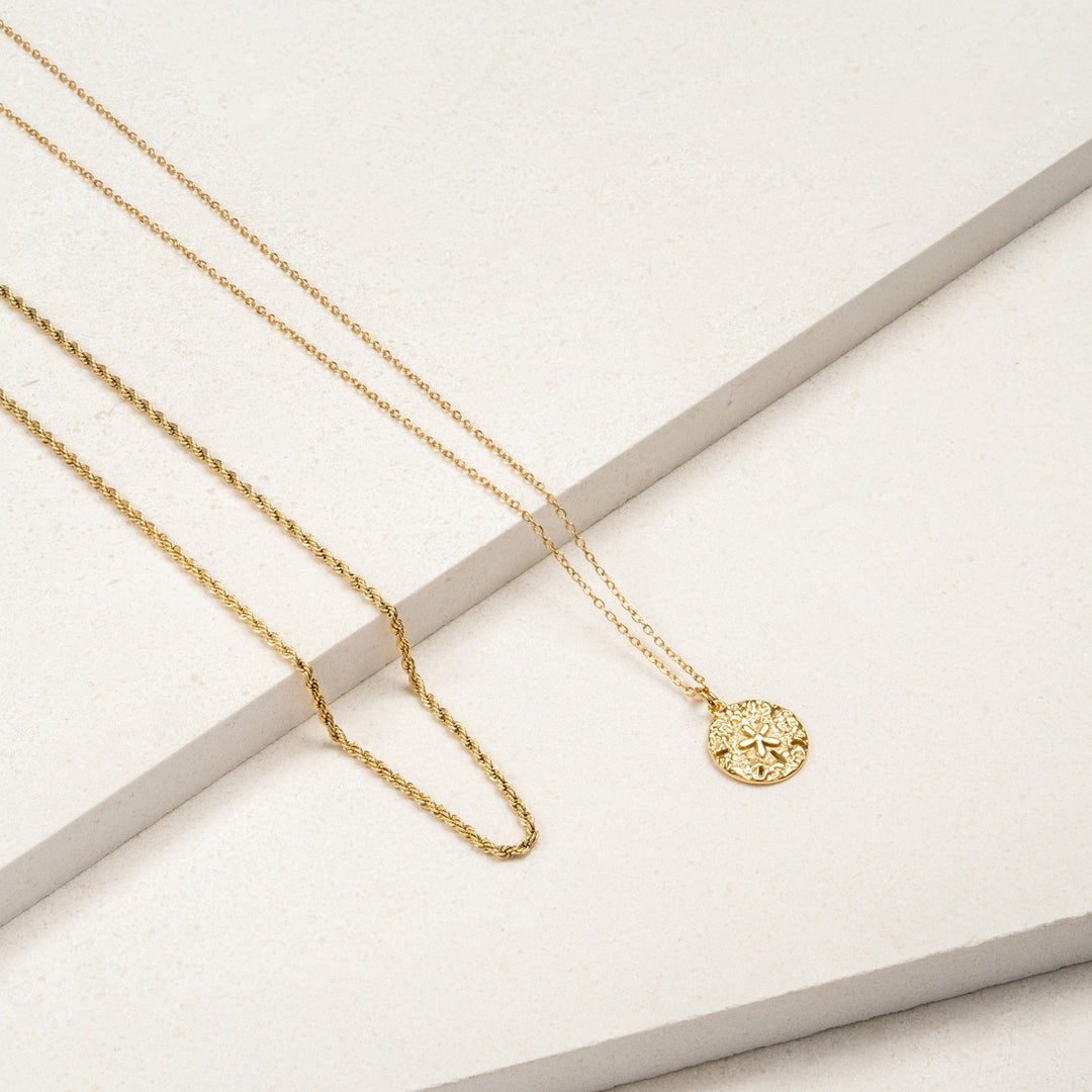 Sanddollar-Halskette