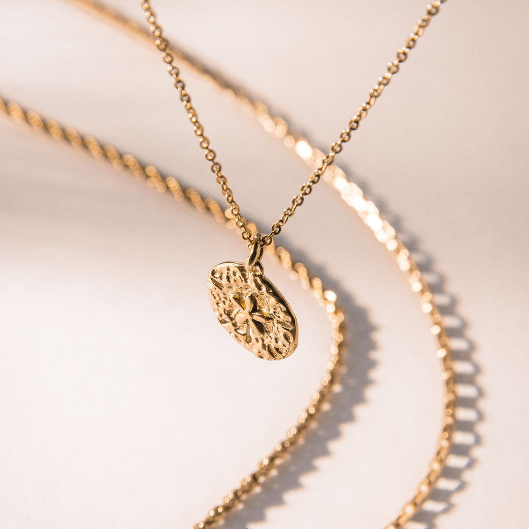 Sanddollar-Halskette